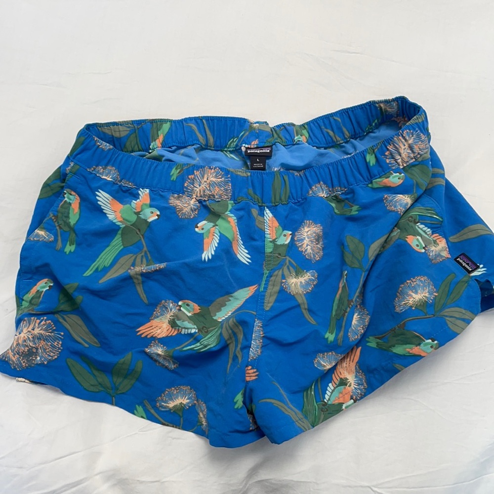 COPY - Patagonia baggie shorts